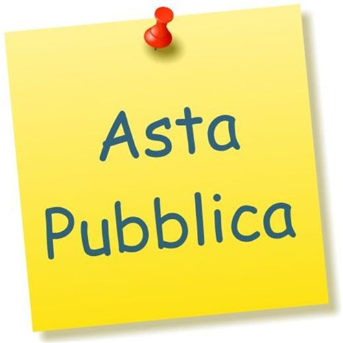 Avviso di asta pubblica alienazione della spazzatrice stradale usata modello â€œJohston cn200â€ di proprietà comunale